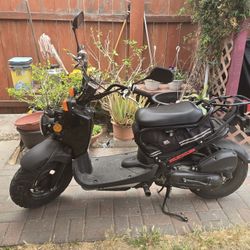 2016 Honda Ruckus