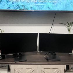 Dual Monitors- Acer brand $60 for Both