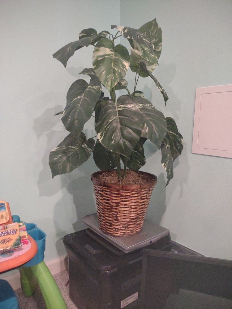 Artificial House Plant