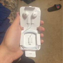 Apple Ear Phones