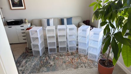 Container Store Shoe Boxes