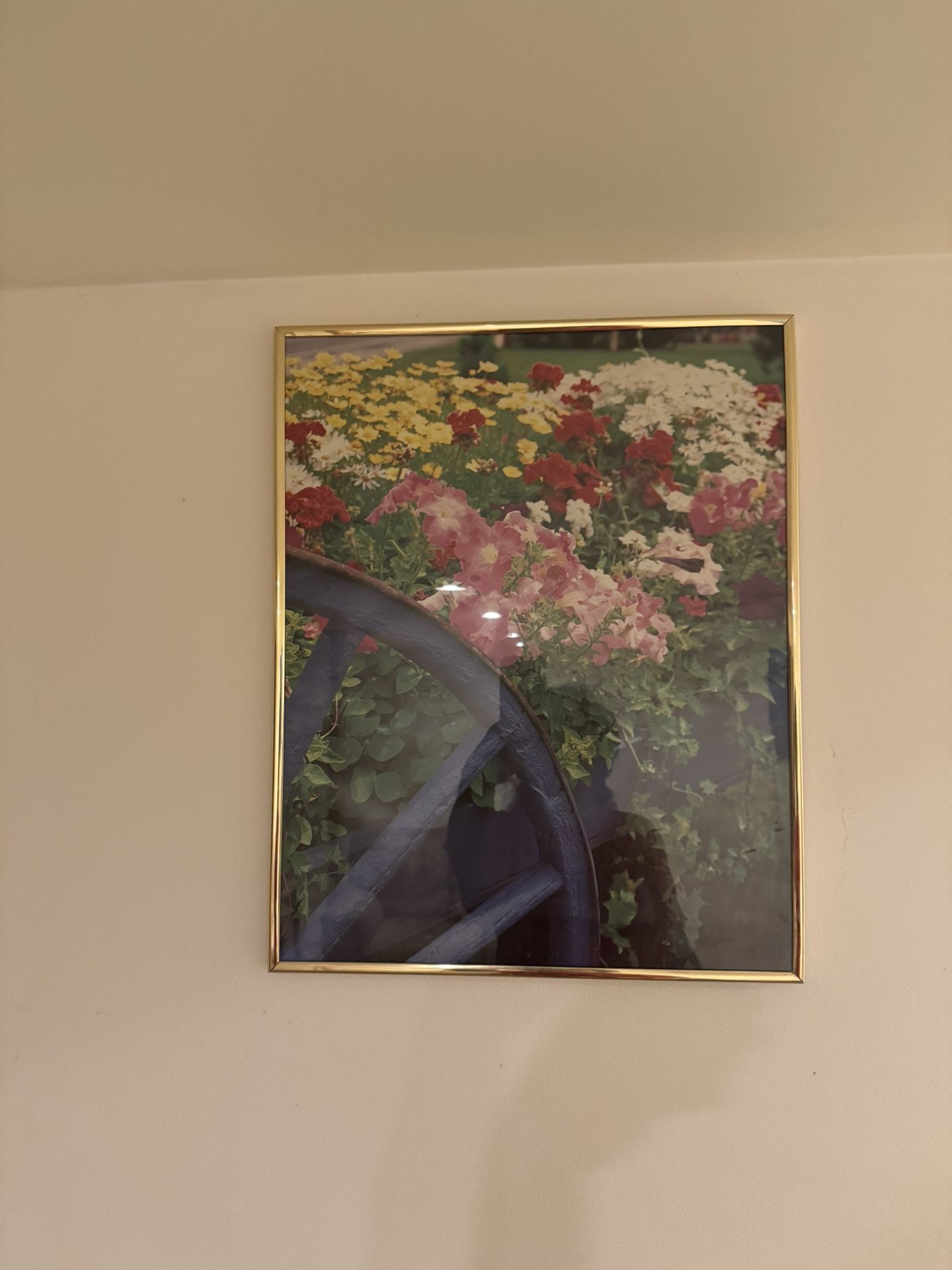 Beautiful Flowers Picture