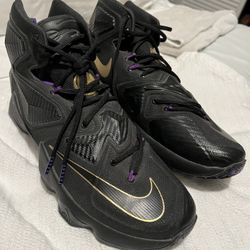 Brand new 2015 LeBron 13 Pot of Gold for Sale in Miami FL OfferUp