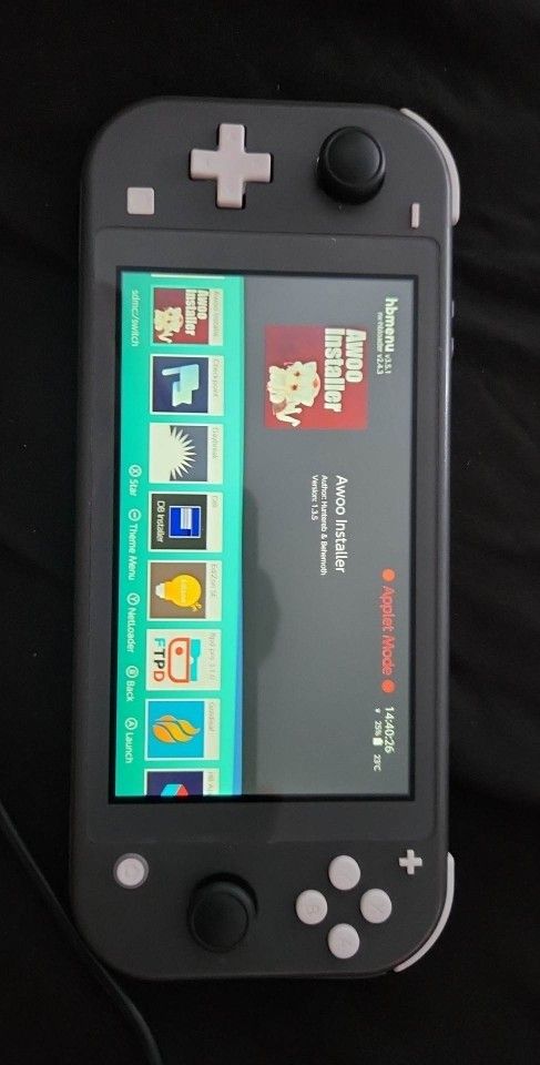 Nintendo switch lite mod/hack/modded
