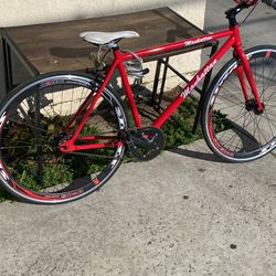 Manhattan fixie 48 cm frame