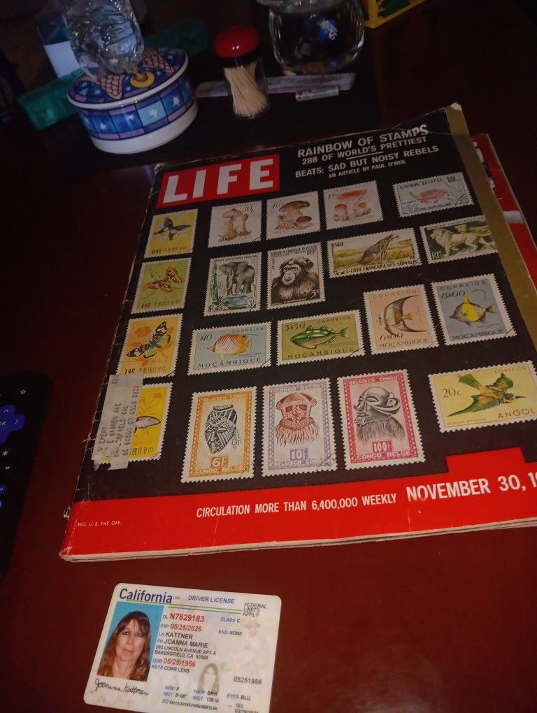 Magazine