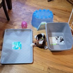 Pet Accessories 