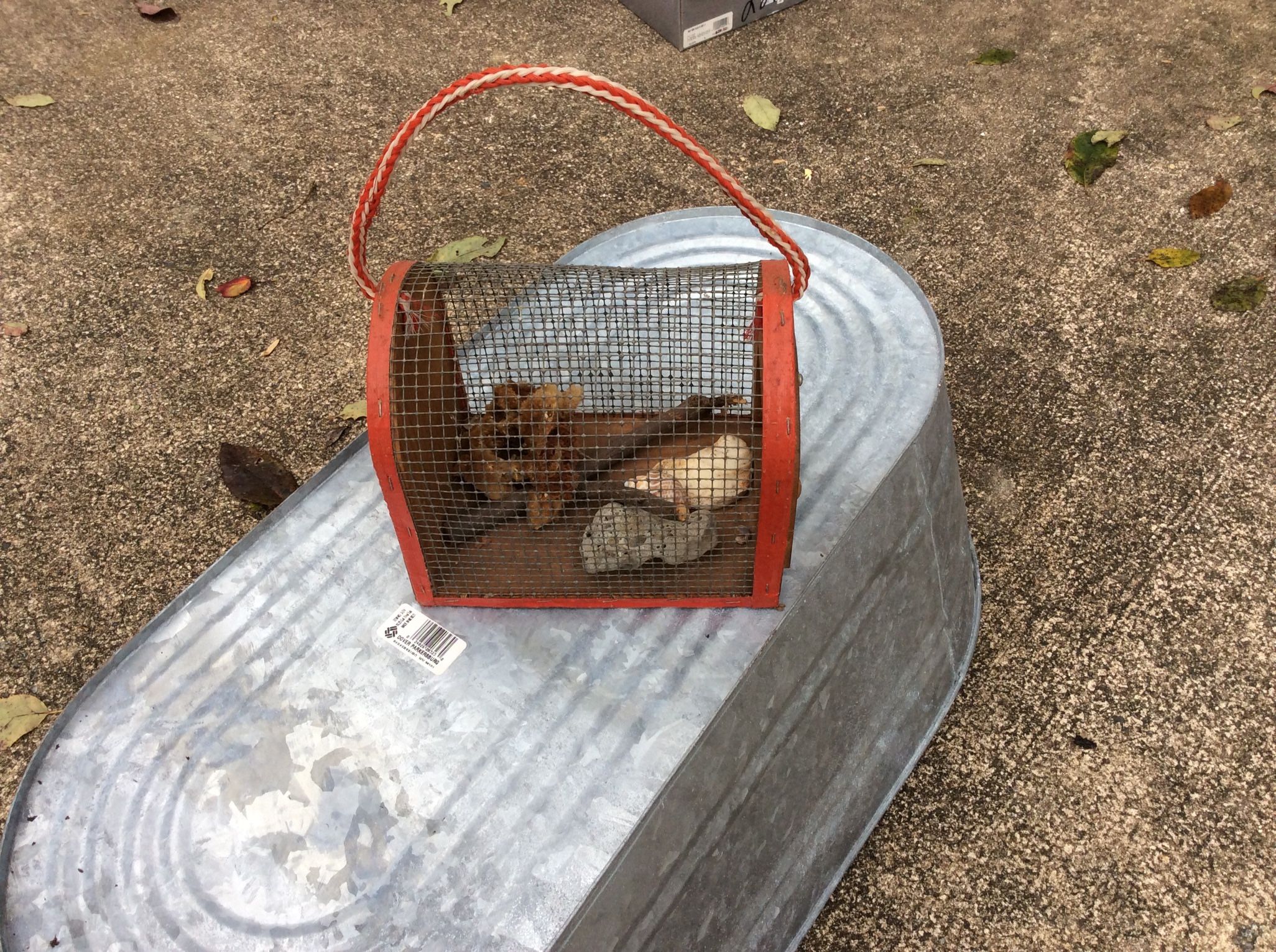 Hermit Crab Cage