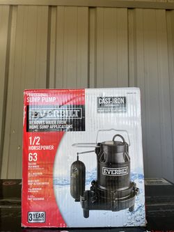 1/2 Everbilt cast iron submersible pump
