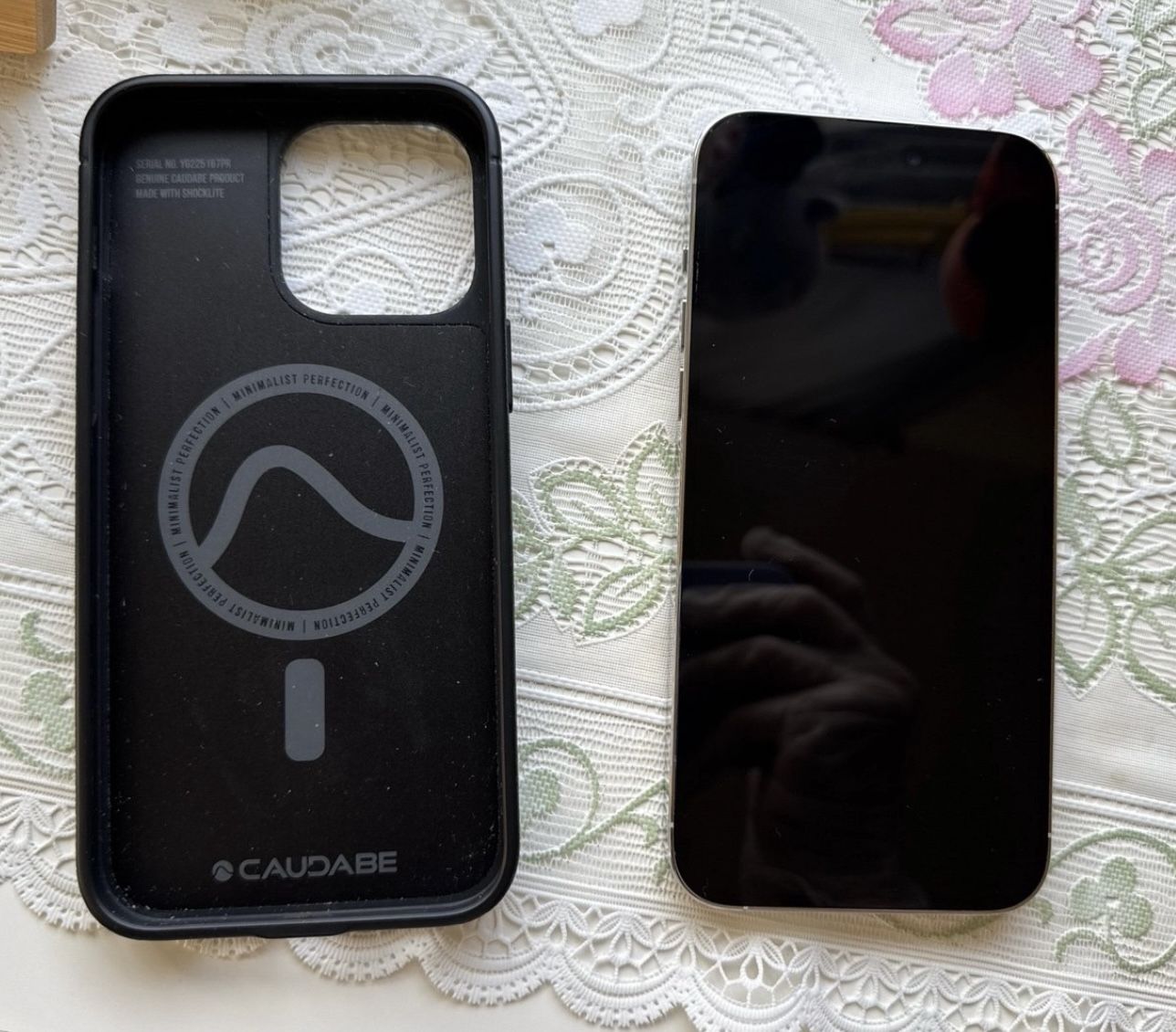 iPhone 15 Pro Max; Silver; 256 GB; Unlocked + Caudabe Case (Sheath)