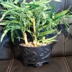 Plastic Potted Plant With Green Leaves Acorned In Decoritive Stones