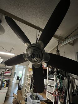 Ceiling Fan