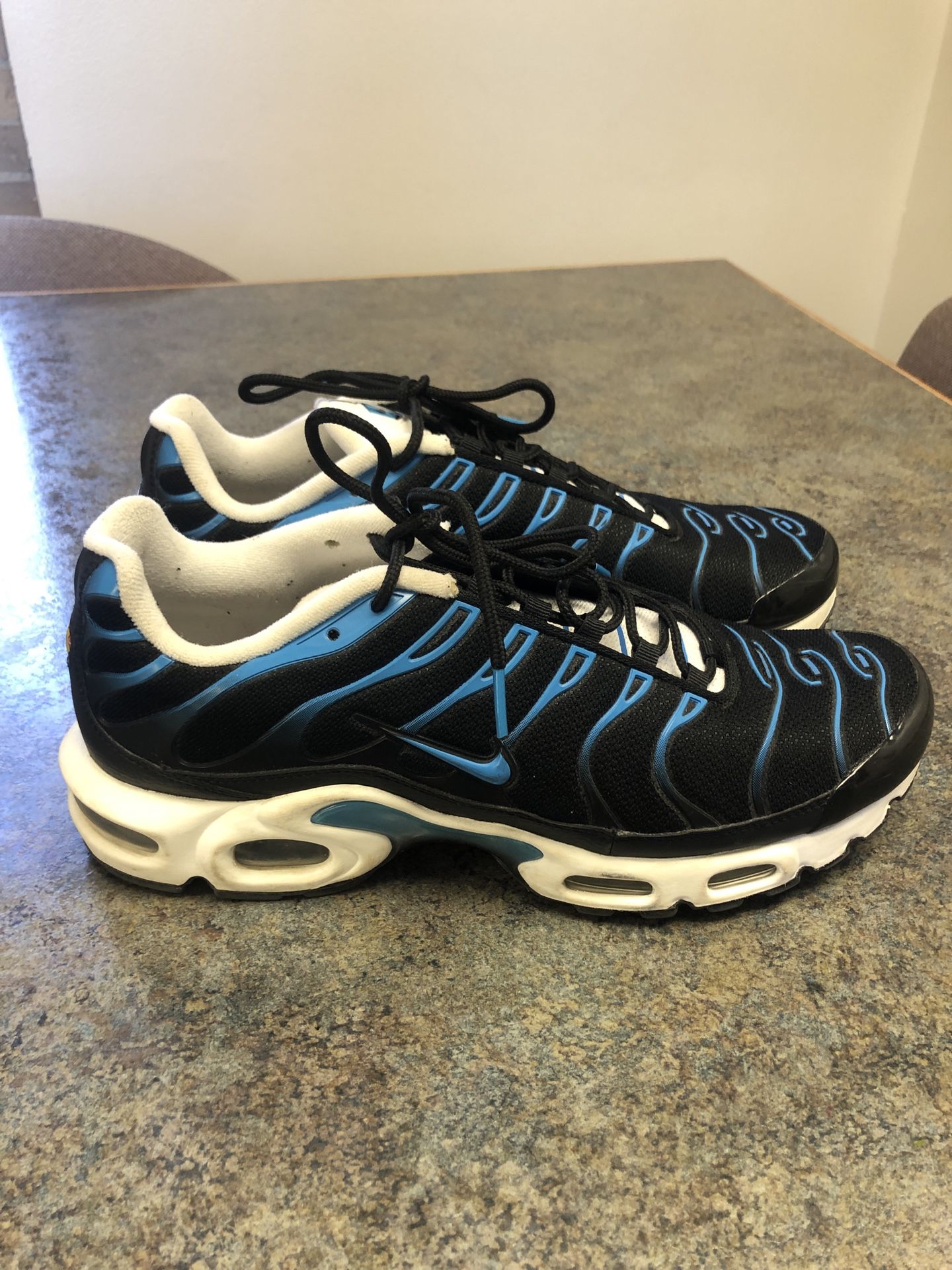 Nike Air Max Plus Shoes