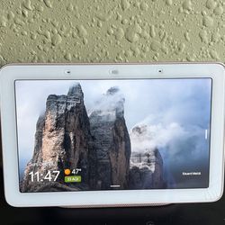 Google Nest Hub