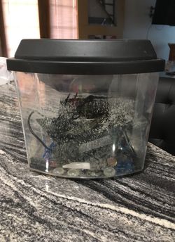 Small fish tank