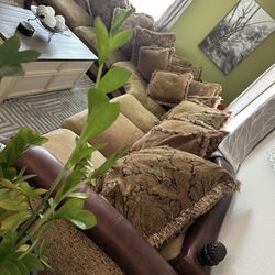 Large couches 