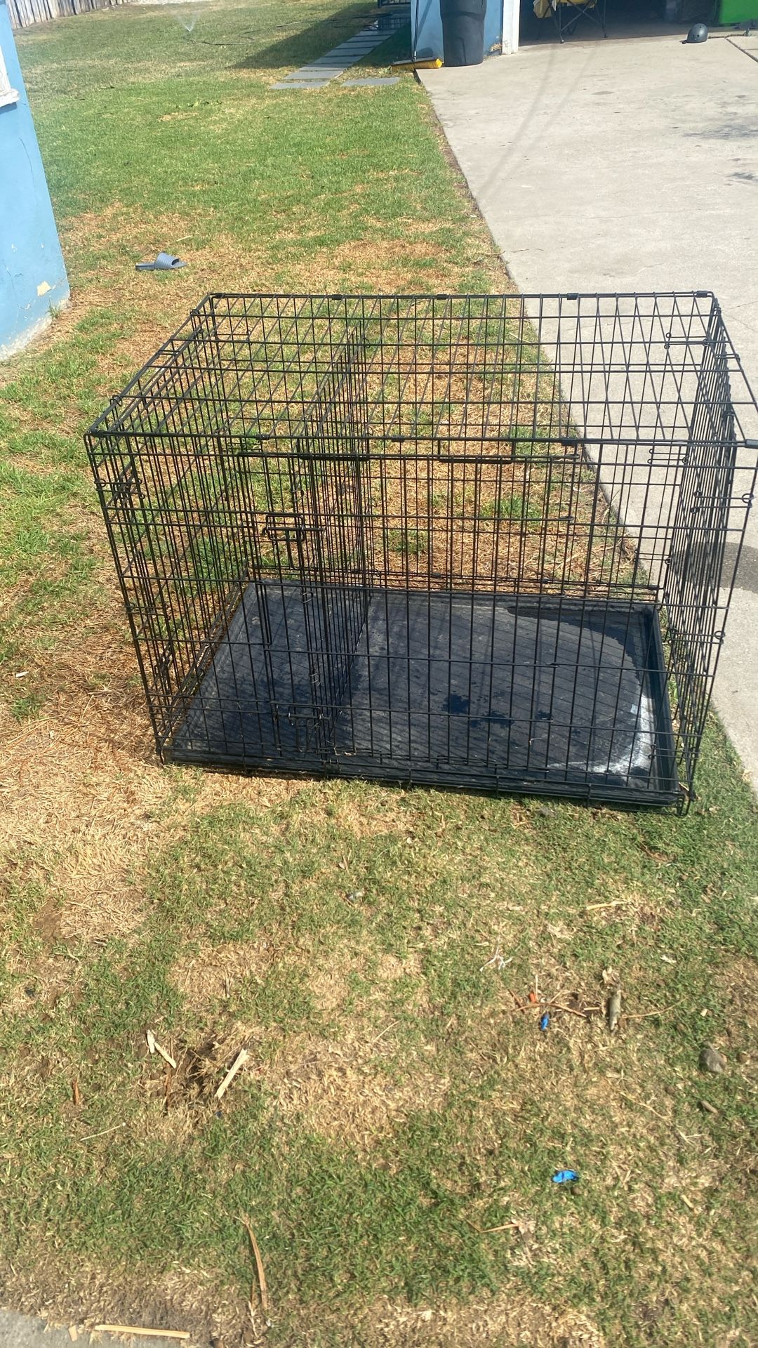 Dog Kennel