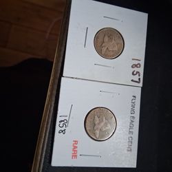 Old Coins 