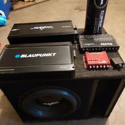 12" Sub With Everything 