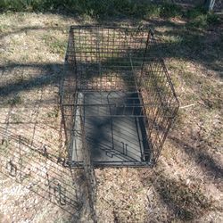 Dog Cage