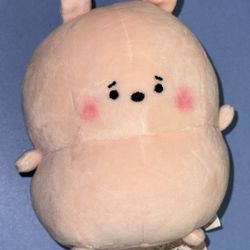 Pink Plushie 
