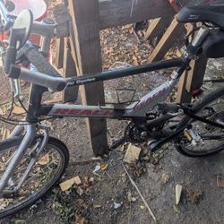 PACIFIC CYCLES **REACH** (folding Bike)