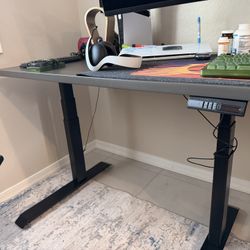 Ergonomic Standing Desk