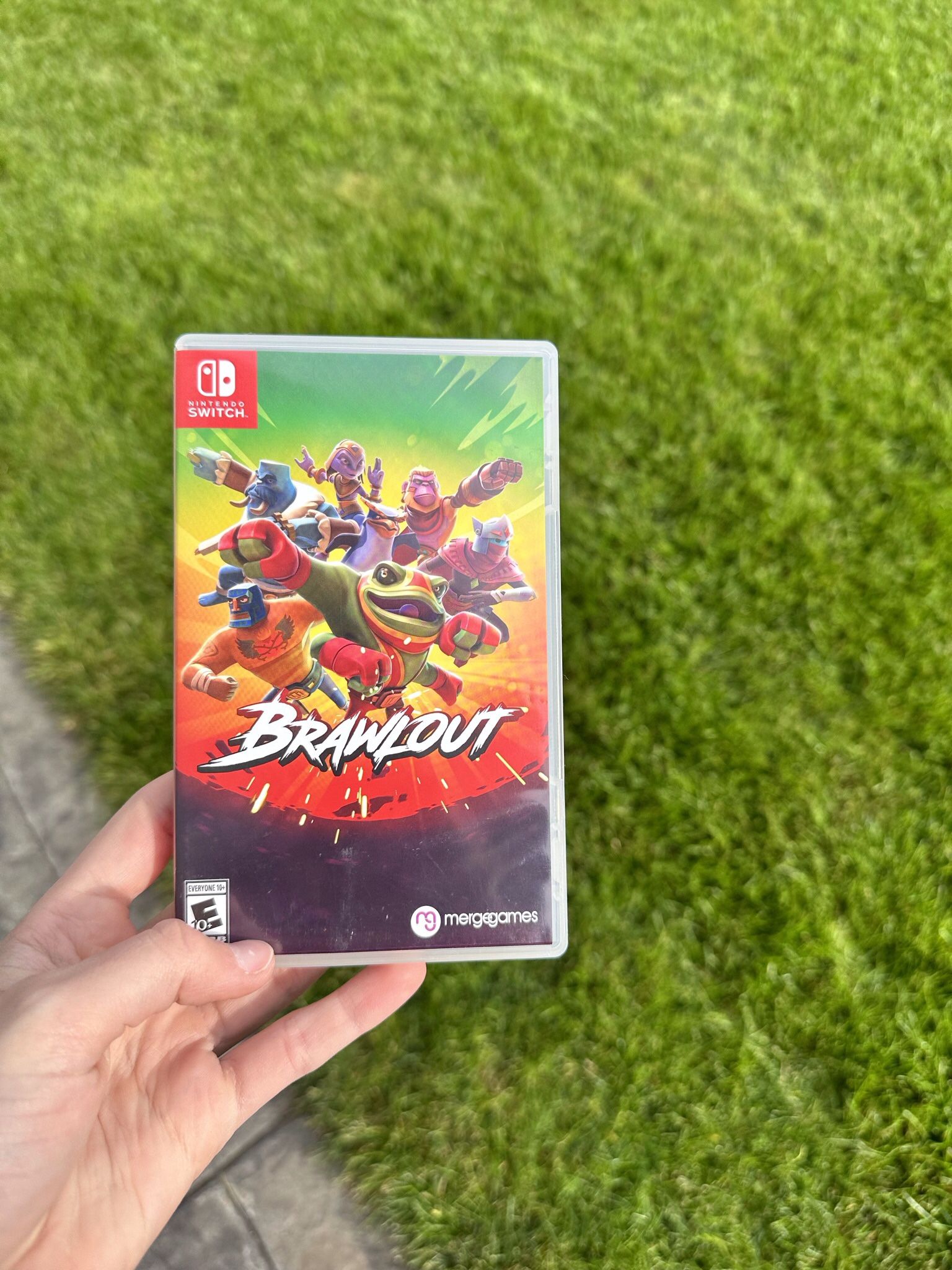 Brawlout For Switch