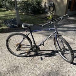 Men’s Schwinn Bicycle