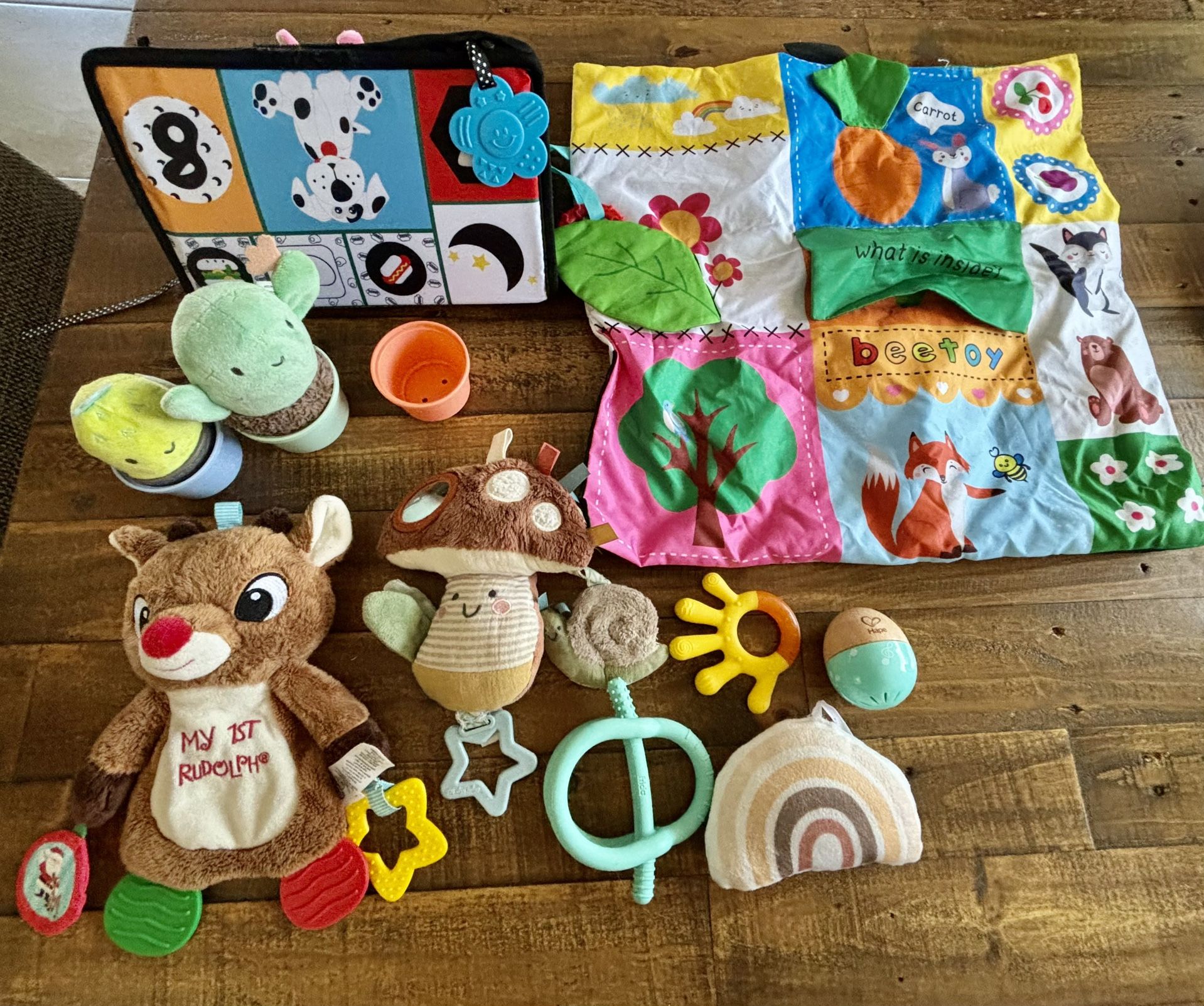 Newborn Toys