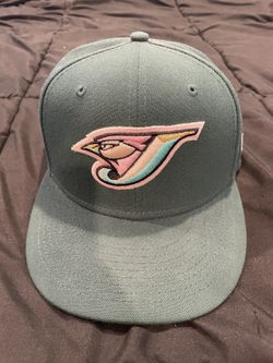 Toronto Bluejays Fitted