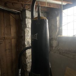 Everlast Punching Bag With Stand 