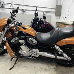 Harley Davison Vrod  105 Anniversary