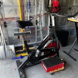 Pro-Form 290 SPX Bike 