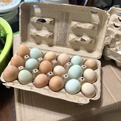 Fresh eggs