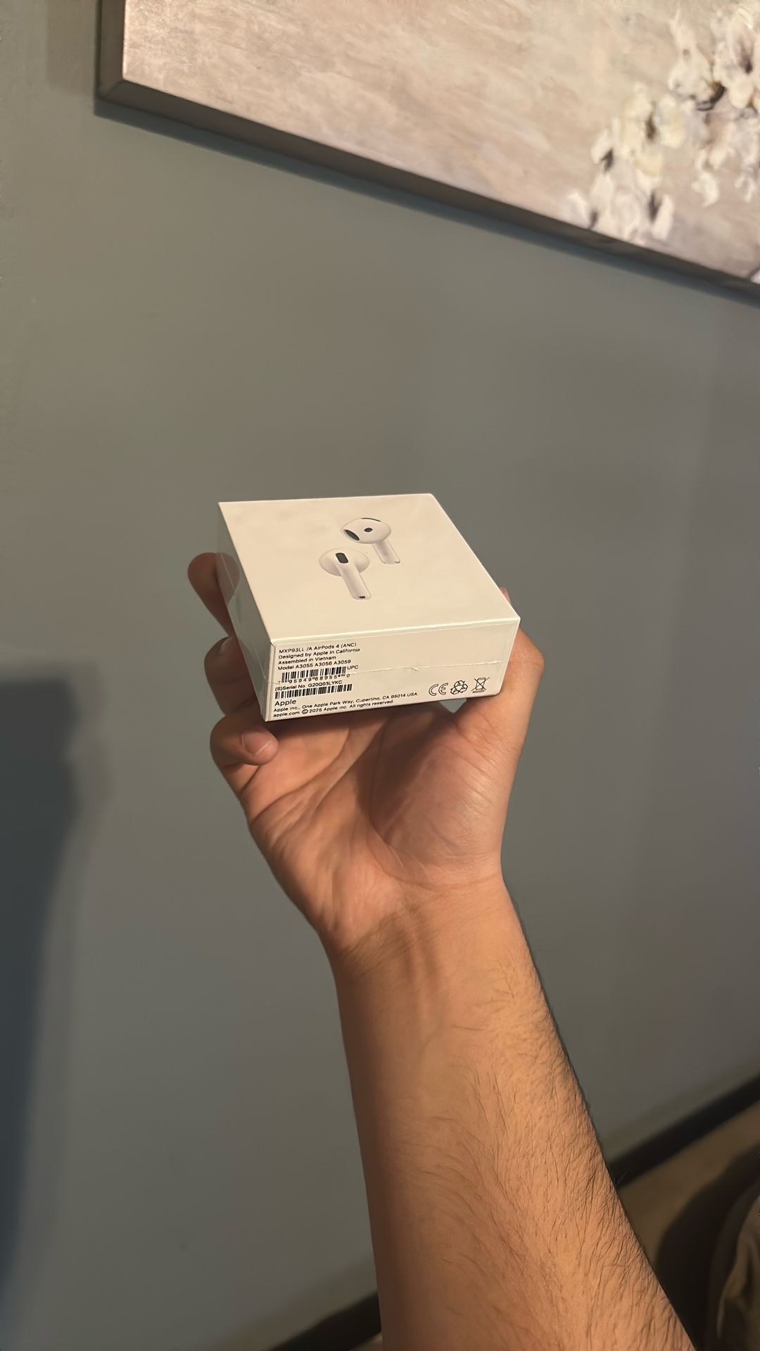 Airpods 4 Pro Active noise Cancellation