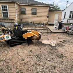 Stump Grinding 