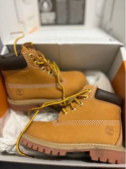 Toddler Timberland size 8