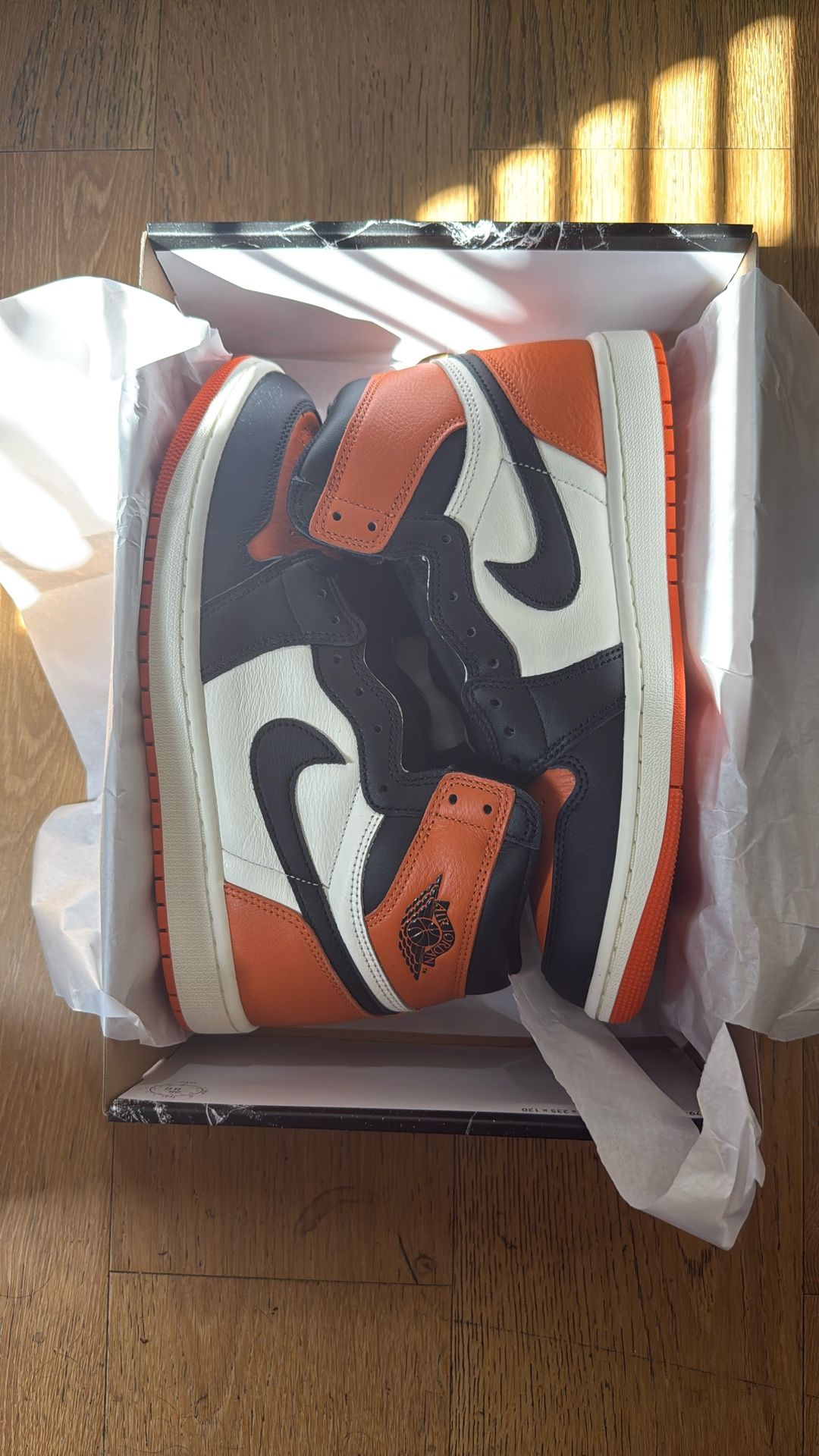 Jordan 1 Shattered Backboard