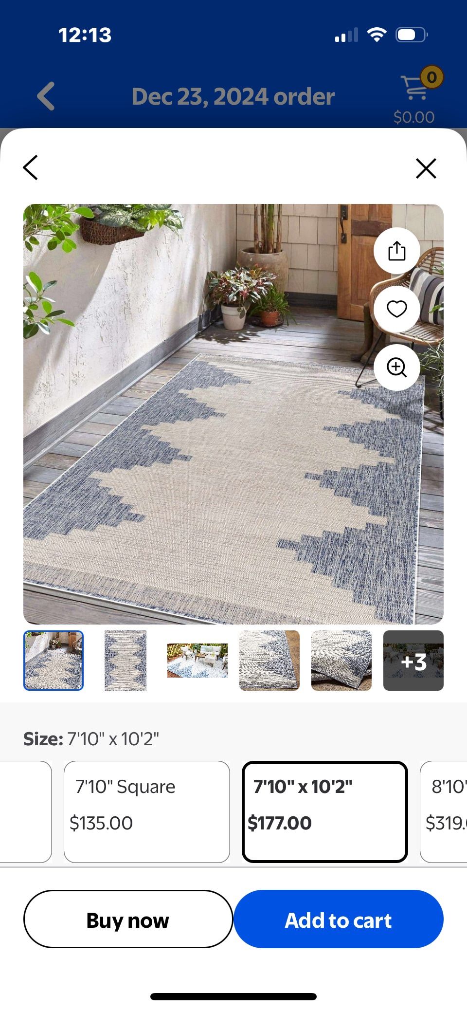 Outdoor Indoor Rug