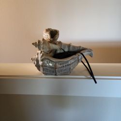 Seashell Indoor Fountain 