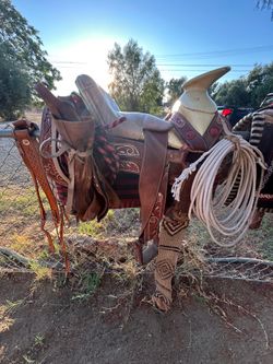 16’ horse Seattle’s