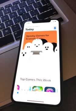 Mint Condition IPhone X