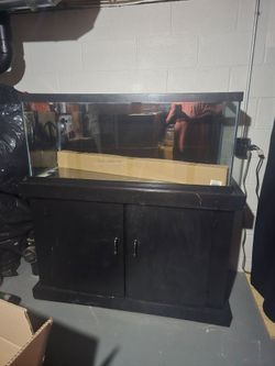 75-gallon tank