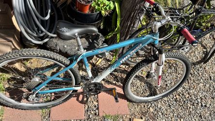Novara Bonita women’s mountain bike