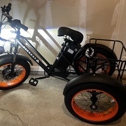 Electric 3 wheeler bike