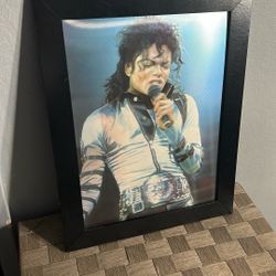 Michael Jackson Framed Picture 