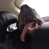 Sam