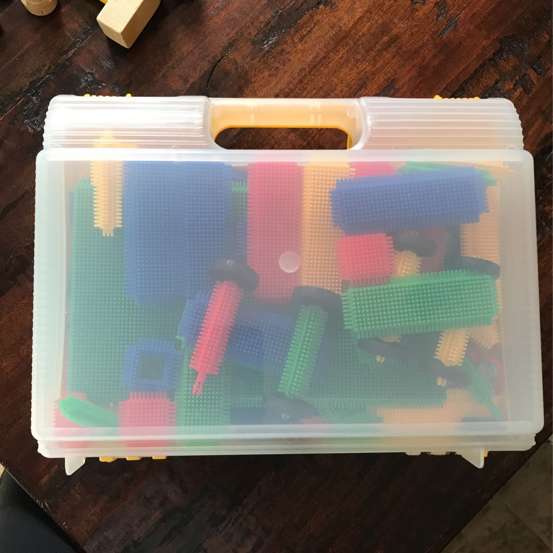 Kids Big Thistle Block Set In Carry Case