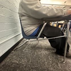 slammed school chair